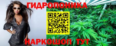 СК Дубна