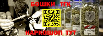 СК Дубна