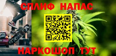 СК Дубна