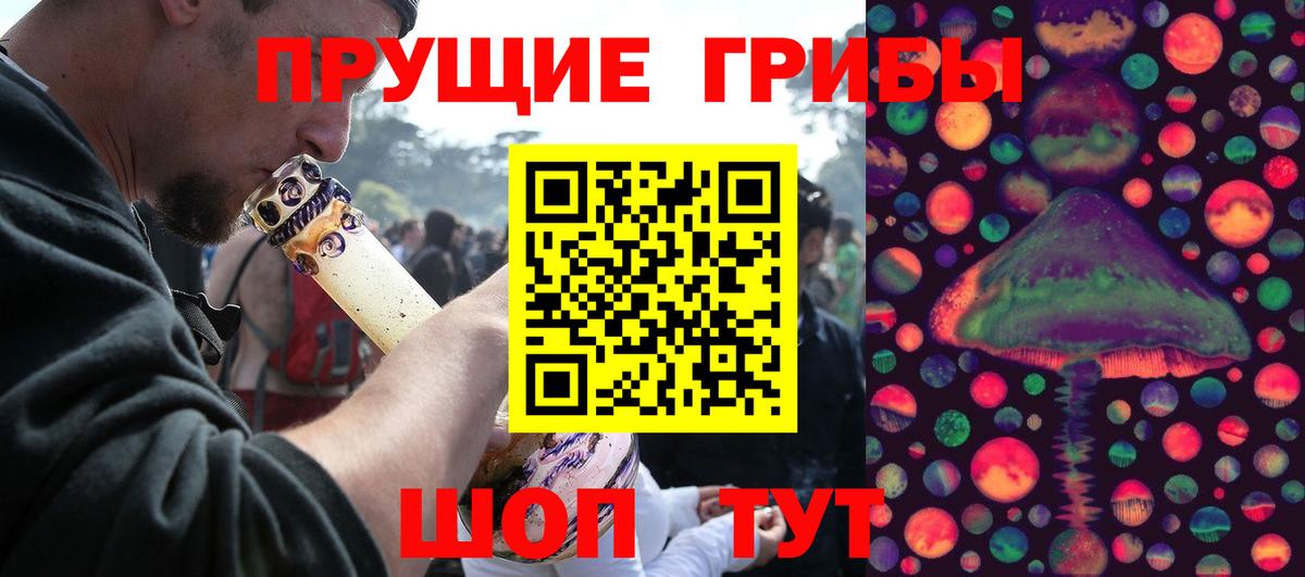 Ливны  Псилоцибиновые грибы Psilocybine cubensis  Вход с VPN 